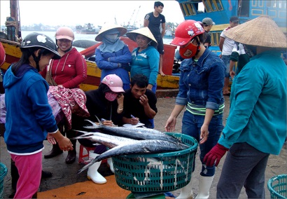 Hiện đại hóa công nghệ cấp đông hải sản