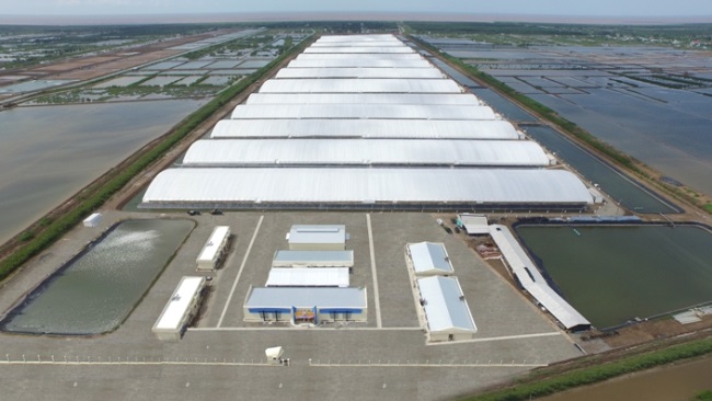 Tập đoàn Việt - Úc Khu nuôi tôm ứng dụng công nghệ cao đạt các chứng nhận quan trọng