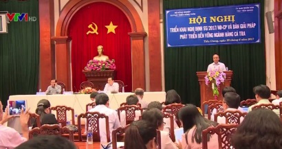 Xuất khẩu cá tra tăng trưởng mạnh nhưng vẫn gặp nhiều bất lợi