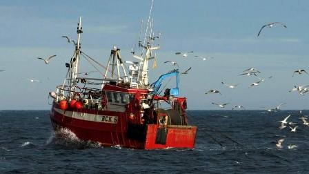 Vương quốc Anh muốn giành lại vùng biển khai thác thủy sản từ EU 