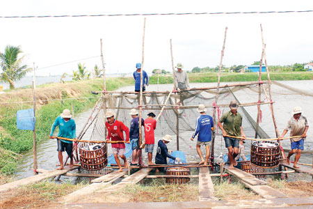 ĐHCĐ Công ty CP Hùng Vương Dấu ấn lạ đến từ đại dương!
