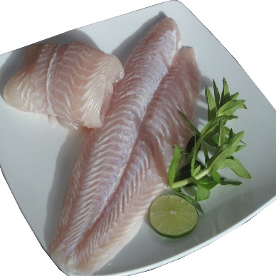 Hùng Vương khởi công nhà máy thức ăn chăn nuôi 35 triệu USD tại Long An