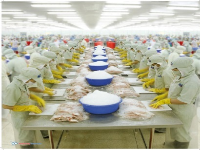 Hung Vuong Corp Lãi hơn 58 tỷ đồng quý đầu năm tài chính mới 