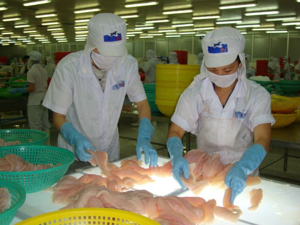 HVG đã nắm 61,21% vốn VTF và 74,89% vốn AGF