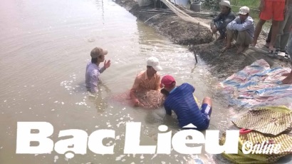 Các mặt hàng thủy sản tăng giá