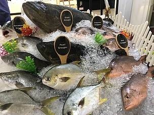 Malaysia Hiệp hội người tiêu dùng tuyên bố cá có thể là sản phẩm không Halal