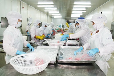 Vướng mắc về yêu cầu có bao bì và ghi nhãn đối với nguyên liệu thủy sản NK dạng hàng xá hoặc block trần