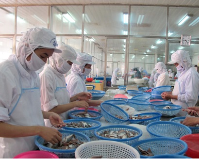 Doanh nghiệp thủy sản vướng mắc về thủ tục kiểm dịch