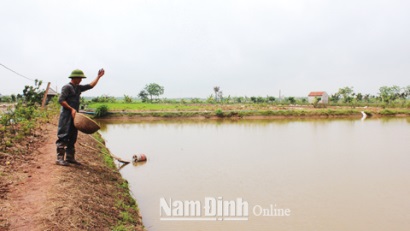 Nam Định Phát triển nuôi thủy sản nước ngọt ở Hải Long
