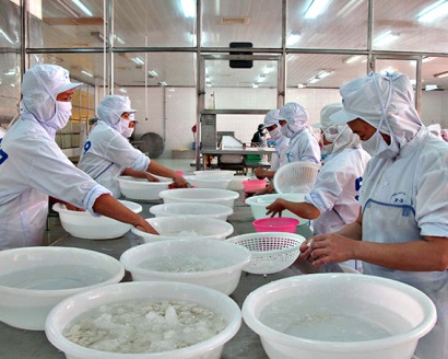BASEAFOOD kiến nghị về việc truy thuế giá trị gia tăng