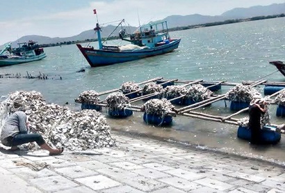 Xử lý dứt điểm lồng bè nuôi thủy sản trái phép
