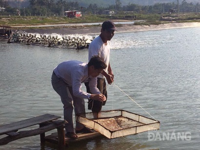 Sản lượng nuôi trồng thủy sản 4 tháng đầu năm đạt 865 ngàn tấn 