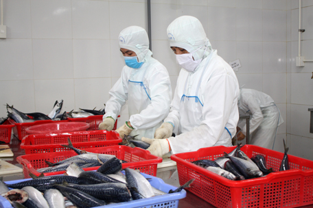 Năm 2017, Baseafood đạt doanh thu khoảng 35 triệu USD