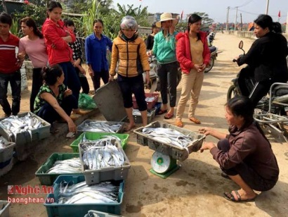 Ngư dân trúng cá hố xuất khẩu và cá khoai đầu năm mới