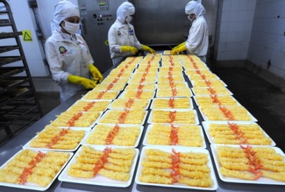 Sản lượng tôm sú vùng ĐBSCL tăng 2,5%