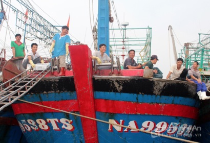 Nghệ An Tàu 67 của ngư dân Quỳnh Lưu trúng hơn 1 tỷ đồng cá hố