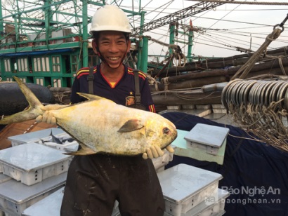 Một tuần đi biển, mỗi thuyền viên thu nhập 15 triệu đồng