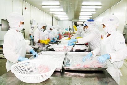 Sản lượng cá ngừ đại dương Cung không đủ cầu