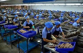 Cá ngừ Ecuador - nhãn hiệu thúc đẩy ngành công nghiệp