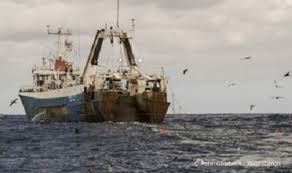 Peru thắt chặt lệnh trừng phạt đối với tàu khai thác trái phép