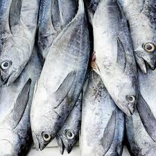 Giá cá ngừ tại Bangkok giảm