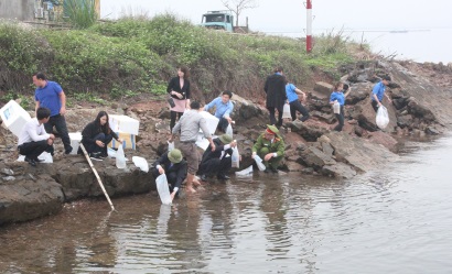 Tiên Yên (Quảng Ninh) Thả trên 80 vạn con giống thủy sản về môi trường tự nhiên