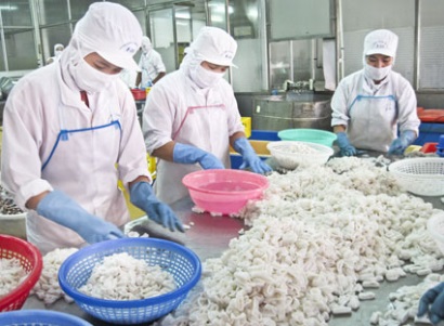 VASEP kiến nghị Bộ trưởng Bộ LĐ-TBXH giải quyết vướng mắc của Hiệp hội từ 6 tháng trước