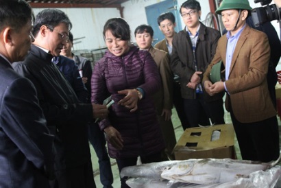 Tổ công tác của Thủ tướng dùng cá biển tồn kho tại Quảng Bình