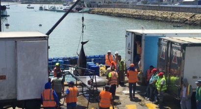 Dự báo giá cá ngừ lao dốc do nguồn cung từ Trung Quốc tăng