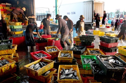 Thứ trưởng Vũ Văn Tám Quyết liệt hành động để xây dựng nghề cá có trách nhiệm, bền vững