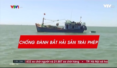 Video Chống khai thác thủy hải sản bất hợp pháp
