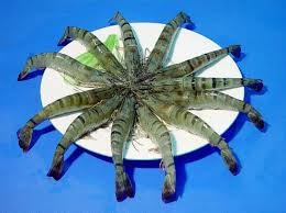 Ấn Độ MPEDA dự báo sản xuất tôm tăng trưởng 10- 15% 