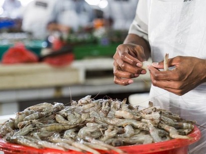 Ấn Độ Giá tôm tăng do nguồn cung dự kiến giảm