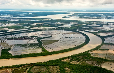 Jambi, Indonesia Xuất khẩu tôm bị ảnh hưởng nặng nề bởi dịch Covid-19
