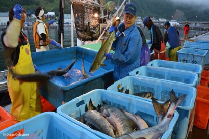 Các biện pháp trừng phạt mạnh mẽ chống lại khai thác bất hợp pháp