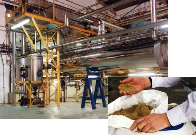 Rabobank Giá cá hồi, giá tôm và nhu cầu bột cá dự báo tăng trong năm 2021