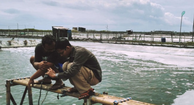 Indonesia lên kế hoạch tăng 250% giá trị xuất khẩu tôm vào năm 2024