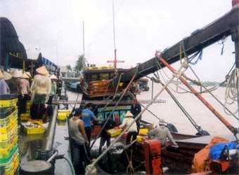 Tiền Giang Khai thác tốt tiềm năng nuôi trồng và đánh bắt thủy hải sản