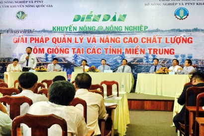 Giải pháp quản lý và nâng cao chất lượng tôm giống tại các tỉnh miền Trung