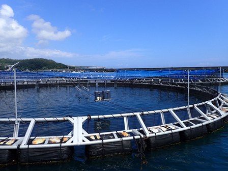 Nhãn sinh thái biển Nhật Bản dự kiến được công nhận theo tiêu chuẩn quốc tế