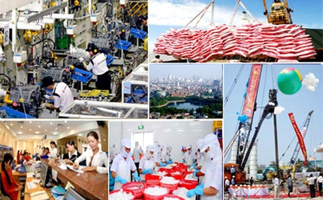 Doanh nghiệp thủy sản đề xuất các chính sách để tiếp cận vốn, giảm chi phí vượt qua Covid-19