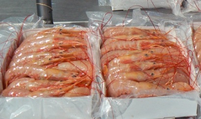 Argentina 50 nhà máy chế biến được phép XK tôm vào Guatemala