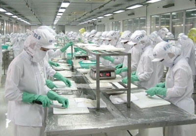 Luật Lao động nhiều bất cập Đề nghị không kéo dài sửa Luật sang năm 2019