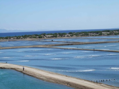 FAO Sản lượng tôm nuôi thế giới năm 2016 giảm