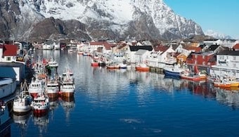 Na Uy Xuất khẩu thủy sản năm 2018 đạt 11,5 tỷ USD 