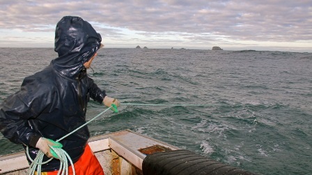 Ba nước châu Âu không thi hành lệnh cấm thải thủy sản trở lại đại dương