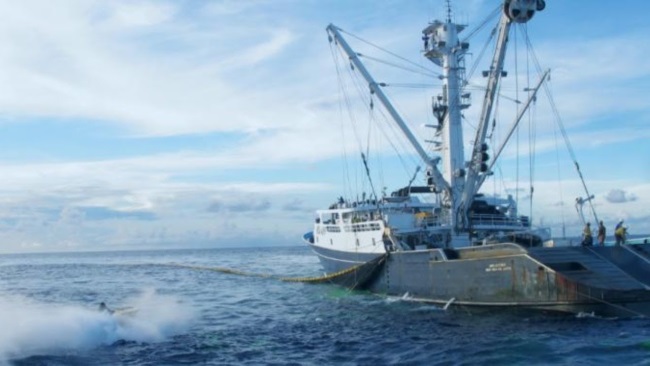 Khai thác IUU lấy đi 23 tỉ USD mỗi năm