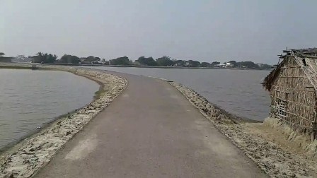 Bangladesh Ngành tôm kêu gọi hỗ trợ từ Chính phủ