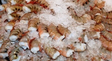 Mexico Các nhà sản xuất, nhập khẩu tôm cam kết chống khai thác tôm bằng lưới rê