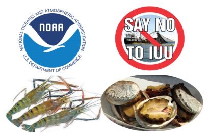 Hội thảo Chương trình Giám sát Thủy sản NK vào Hoa Kỳ (SIMP) cho Tôm và Bào ngư